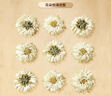 同仁堂（TRT）品牌北京同仁堂菊花(贡菊)中药饮片黄山贡菊菊花茶去火清热解毒菊花蕾可搭枸杞玫瑰花化橘红30g 实拍图