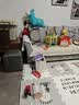 LYNN粘毛器滚筒10cm10卷600撕沾毛地毯床单沙发猫狗去毛神器除尘 实拍图