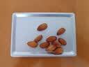 三只松鼠手剥巴旦木500g/袋装 坚果炒货干果扁核桃杏仁零食送礼  实拍图