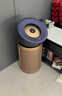 戴森（DYSON）BP04空气净化器 滤除病毒 大面积净化过敏原 除PM2.5宠物毛发 医护级 宠护认证 蓝金色【价保618】 实拍图