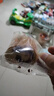 良品铺子全麦椰香红豆卷面包800g夹心手撕吐司面包出游营养早餐休闲零食 实拍图