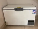 雪花超低温冰柜商用冷冻柜零下65℃零下85℃ 卧式大容量海鲜速冻冰柜速冻生物实验室冰箱医用 318升304内胆【-86℃+框口除霜】进口压缩机 实拍图