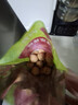 问君 新疆阿克苏185纸皮核桃508g原味薄皮生核桃孕妇坚果零食 实拍图