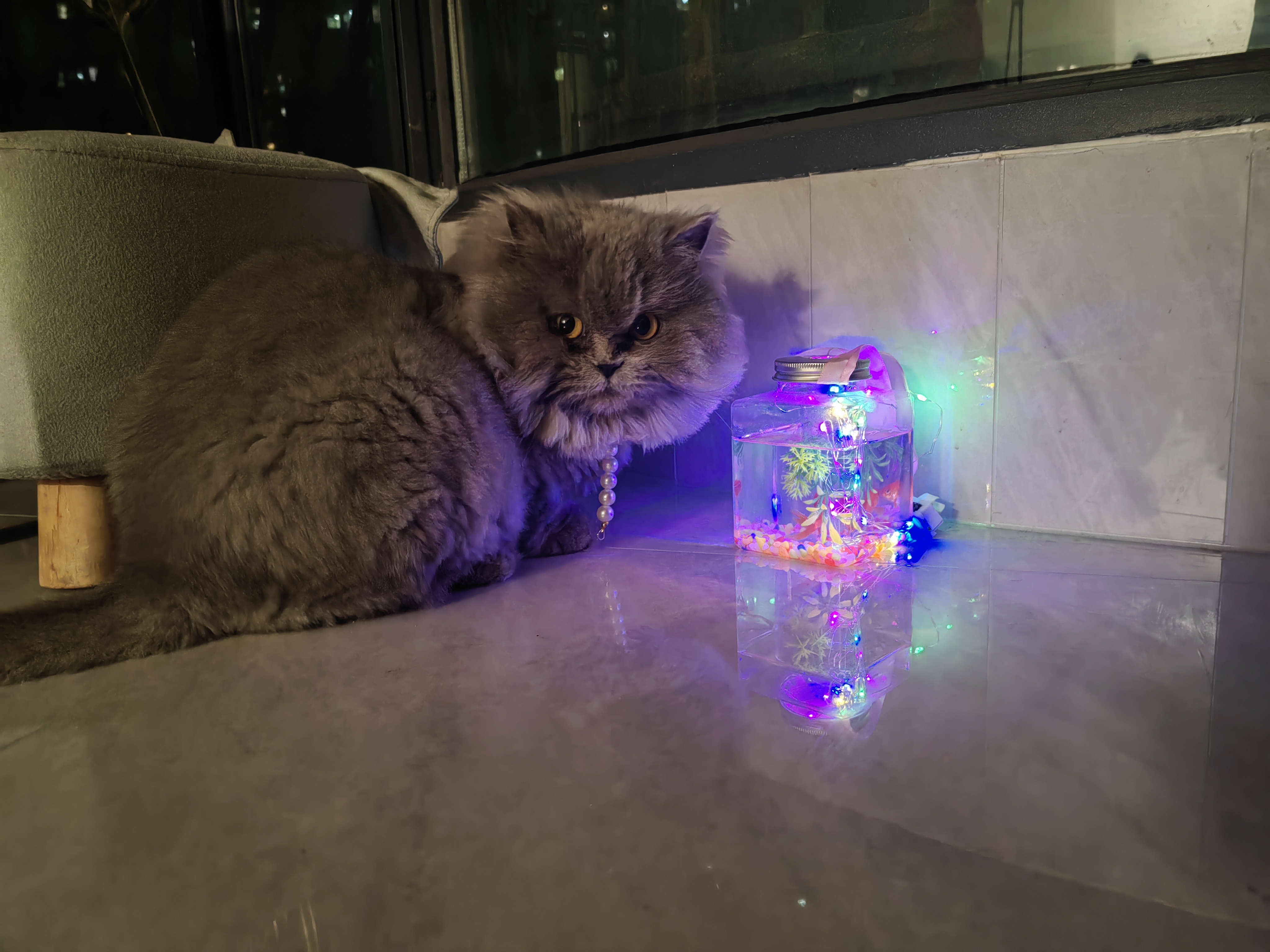 澳贝（auby）婴幼儿玩具好动小猴健身架宝宝脚踏踩钢琴+新生儿安抚摇铃礼盒 实拍图