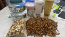 三只松鼠大颗粒东北松子500g/罐装坚果炒货手剥开口A++零食一斤装端午送礼 实拍图