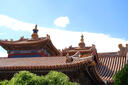 适马（SIGMA）16-300mm f3.5-6.7 DC OS ｜Contemporary 半画幅 远摄变焦镜头 旅游风光人像（富士X卡口） 实拍图