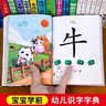 宝宝学前识字幼儿认字启蒙教材2岁3岁4岁3-6岁儿童看图识字卡片幼儿园大班中班益智象形识字大王早教书绘本一年级趣味神器识字书 【加厚】小班宝宝识字字典 实拍图