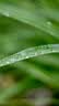 腾龙（Tamron）A065Z 70-180mm F/2.8 Di III VC VXD G2二代防抖大光圈长焦变焦全画幅微单镜头（尼康Z卡口） 实拍图