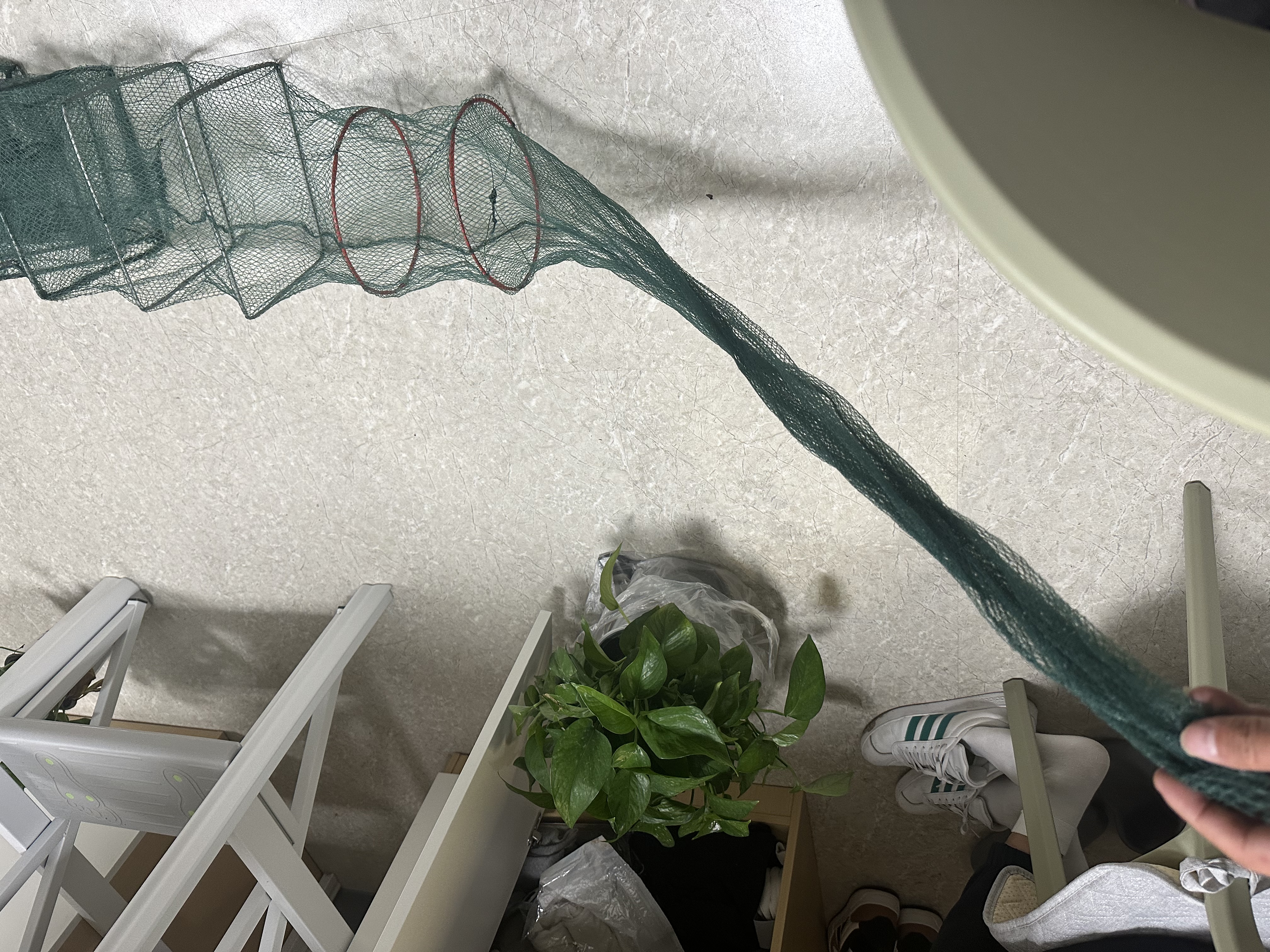 地龙渔网笼龙虾网鱼网鱼虾网笼地网笼不出只进鱼笼捞小鱼黄鳝笼 3.2米15节9洞带坠+赠品 实拍图