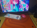 卓威奇亚（ZOWIE GEAR）G-SR-SE 曦 电竞鼠标垫 细面鼠标垫 fps游戏鼠标垫 gsrse控制垫 滑垫 电竞桌垫 实拍图