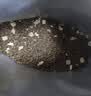 醇粹FD猫粮 成猫幼猫粮添加纯鸡肉冻干鲜肉营养英短美短全价CFD1-5kg 实拍图