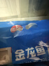 金龙鱼家常系列 鸡蛋劲道龙须挂面面条组合装 1000g*3 拉面 汤面 素面  实拍图