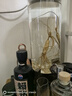 卓誉【私藏高粱酒】52度纯粮食酒5L桶装白酒清香型泡酒专用酒自饮原浆 实拍图