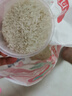 十月稻田 油粘米 银牙香粘米 10斤（南方大米 籼米 5kg/公斤） 实拍图