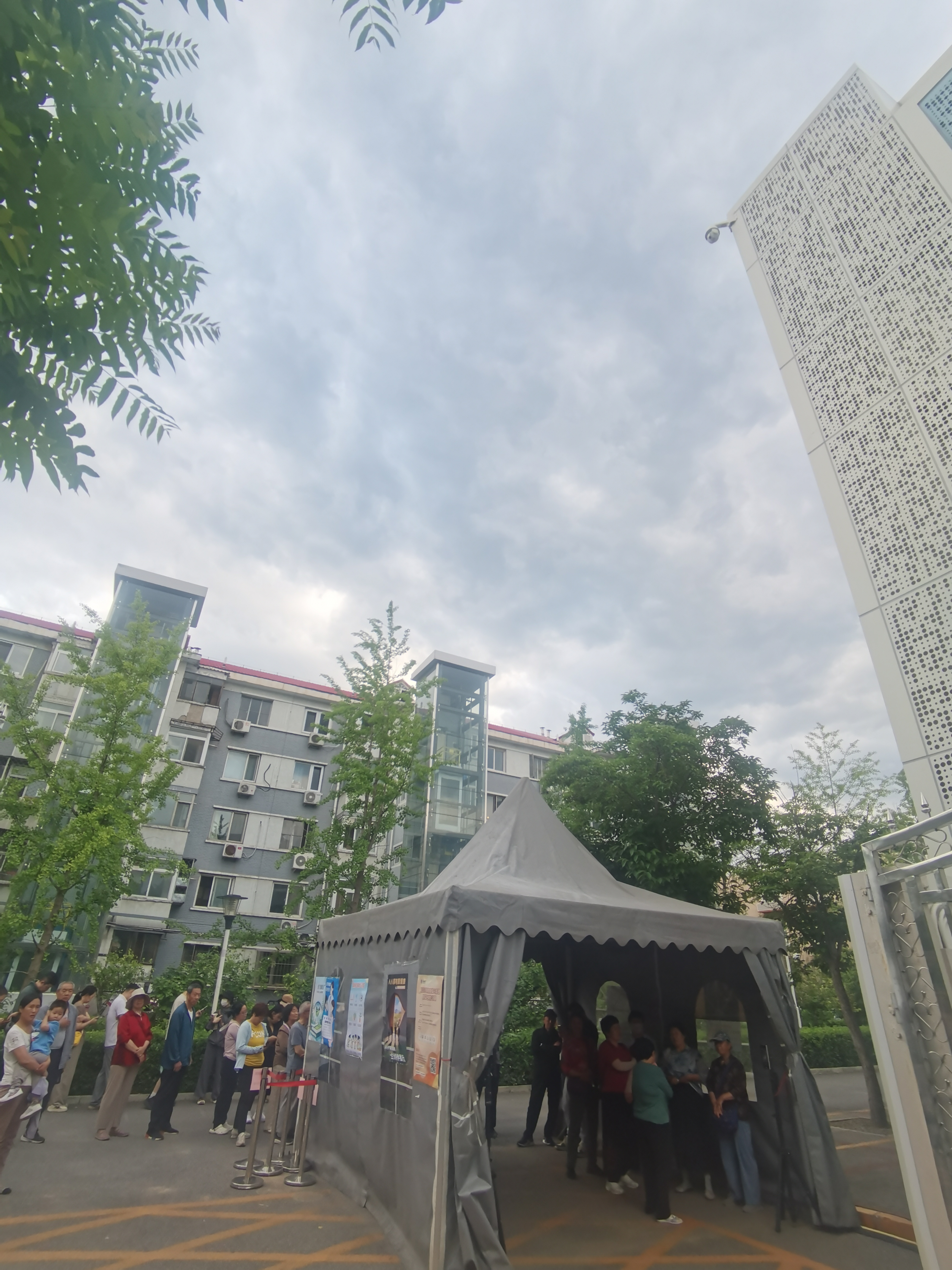 黄飞鸿活络油香港原装正品舒筋活血化瘀通经络肿精油止红花跌打损伤50ml 实拍图