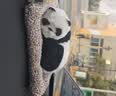 乐蕾迪汽车摆件车载中控台网红饰品仿真狗竹炭包车内装饰 熊猫款 实拍图