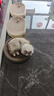 【京东快递】猫抓板猫窝一体式耐磨不掉屑超大可睡觉瓦楞纸磨爪板 圆形50*9【20斤内，送猫薄荷】 实拍图