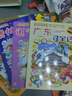 大中华寻宝记系列·儿童中国地理科普知识百科漫画书（17-20册套装共4本）（广东/辽宁/香港/贵州） 暑假作业 一升二暑假衔接 小升初暑假衔接  实拍图