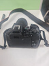 佳能（Canon）佳能R10 18-150 入门级微单相机 eos r10半画幅 Vlog拍摄 4K高清视频 学生旅行家用 扫街旅拍套装 实拍图