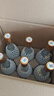 汾酒黄盖玻汾 清香型白酒 53度 475mL*6瓶整箱 年份随机 端午节囤货 实拍图