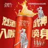 瓦伦丁（Wurenbacher）德国原装进口烈性啤酒500ml*24听 15.3°P 强劲精酿啤酒 整箱装 实拍图