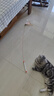 憨憨乐园猫玩具逗猫棒幼小猫猫咪磨牙玩耍耐咬互动自嗨玩具神器宠物用品 实拍图