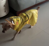 欢宠网狗狗雨衣全包四脚宠物狗小狗大型犬柯基雨披雨天遛狗防水防湿护肚 实拍图