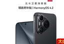 HUAWEI Pura 70 12GB+512GB 羽砂黑 北斗卫星消息版 超高速风驰闪拍 鸿蒙系统4.2适配主流APP 大内存手机 实拍图