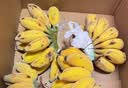 安踏男鞋板鞋小白鞋男士运动鞋夏季防泼水厚底减震休闲鞋 【厚底减震小白鞋】象牙白/芯片灰-1 40 (250mm) 实拍图