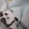 BEYONDHOME BABY博洋母婴A类牛奶绒毯婴幼儿园午睡毛毯盖毯春秋熊猫宝宝80*100cm 实拍图