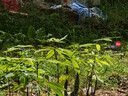 小米17/15/14/13promax/ultra/mix/fold折叠屏二手手机详见质检报告国行优惠券补贴 小米 17 Ultra 徕卡版 实拍图