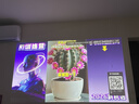 极米（XGIMI）Z6X 第五代 高亮版升级 700CVIA 投影仪家用 轻薄投影机1080P智能家庭影院 一体式云台 国家补贴 实拍图