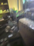 开元鸟用保健砂贝壳补钙磷红土矿石营养素鸟食鸽子鹦鹉四喜百灵通用 实拍图