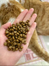 冠能猫粮幼猫猫粮3周-12月龄7kg 全价猫粮 添加牛初乳 增肥发腮 实拍图