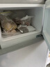 新飞冰箱小型租房用 一级能效冷 藏冷冻两用1-2人家用小冰箱 出租房双门电冰箱办公室两门 26年升级 58A一级能效【高性价比】银 实拍图
