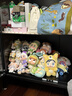 INSTAX富士instax立拍立得 mini相纸 白边双包20张(适用miniSE/11/12/40/90/LiPlay/EVO/Link3) 实拍图