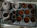 豪峰2026新款整套紫砂功夫茶具套装家用实木茶盘茶杯泡茶壶送老师礼物 实拍图