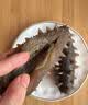 往牧大连鲜食海参 辽刺参 鲜食海参 冷冻生鲜 节假日送礼 【大连鲜食辽参2斤】共26-32只 实拍图