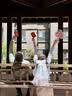 阿宝丽蝴蝶结头纱发夹女求婚结婚拍照领证道具登记蓬蓬纱森系新娘发饰 实拍图