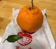 蒲恋爱媛38号果冻橙【闪送-多地次日达】橘子桔子当季新鲜水果现摘 5斤分享装【超值推荐-80%选择】净4.5斤 【A+尝鲜果】单果65-70mm丨甜 实拍图