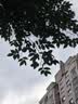 松下（Panasonic）Lumix G100D M43画幅相机 M43卡口 微单相机 无反数码相机 G100D+【12-60+25F1.7】双白盒套装 实拍图
