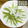 八窨飘雪茉莉花茶茶叶新茶特级浓香可冷泡四川雅安花毛峰绿茶散装罐装125g 实拍图