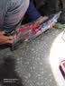 聚越工具液压钳手动液压压线钳电工专用10-120²平方小型DT铜铝鼻子压线钳 实拍图