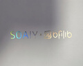 索爱（soaiy）KY02AIR小蜜蜂扩音器教师教学专用防啸叫无线领夹麦导游户外讲解便携蓝牙音箱音响520女生礼物白 实拍图
