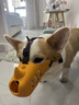 冇宠狗狗嘴套柯基柴犬嘴罩中小型犬止吠器防咬防叫神器可喝水宠物口罩 黄色（本嘴套不适用于短嘴犬） M号（建议15-25斤左右） 实拍图
