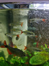 森森鱼缸过滤器三合一内置小型水族箱过滤系统增氧泵XQP-1000F 15W 实拍图