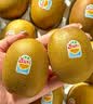 佳沛（zespri）新西兰金果巨大果22粒原箱单果146-175g 端午礼物水果礼盒 猕猴桃 实拍图