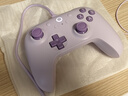 八位堂（8BitDo）猎2青春版游戏手柄有线双霍尔PC电脑Steam安卓平台 仁王3 绝区零 怪物猎人荒野 原神 宝可梦传说 实拍图