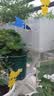 爱丽思（IRIS）花架塑料阳台置物架客厅庭院收纳架多层落地式架子多肉专用花盆架 【二层白色】长57x宽37x高42cm 实拍图