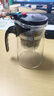 飘逸壶泡茶壶耐热高温玻璃沏茶过滤内胆冲茶器家用茶具套装 飘逸杯500mL1个 实拍图